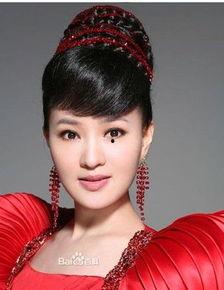 龚雪老公张迅个人资料,龚雪丈夫的低调人生与艺术追求